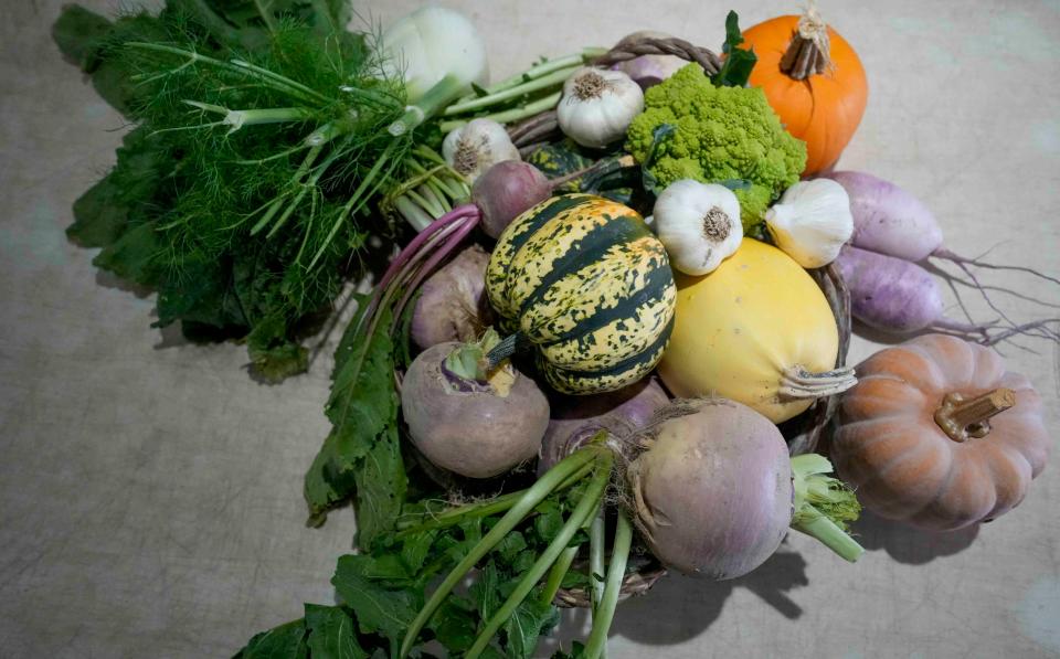 A selection of produce grown at LotFotL Community Farm in Elkhorn, pictured on Oct. 5, 2023.