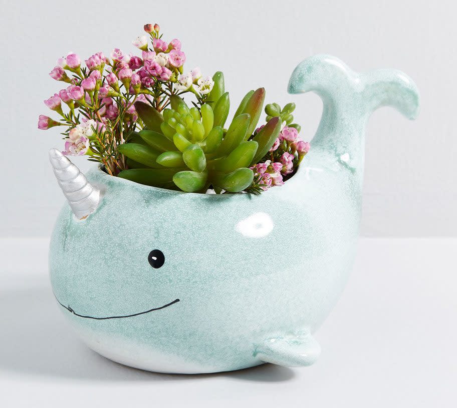 STYLECASTER | Cute Planters