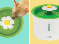 Photo collage of an orange cat drinking water out of the Catit Flower fountain and a Catit Flower Fountain with water flowing.