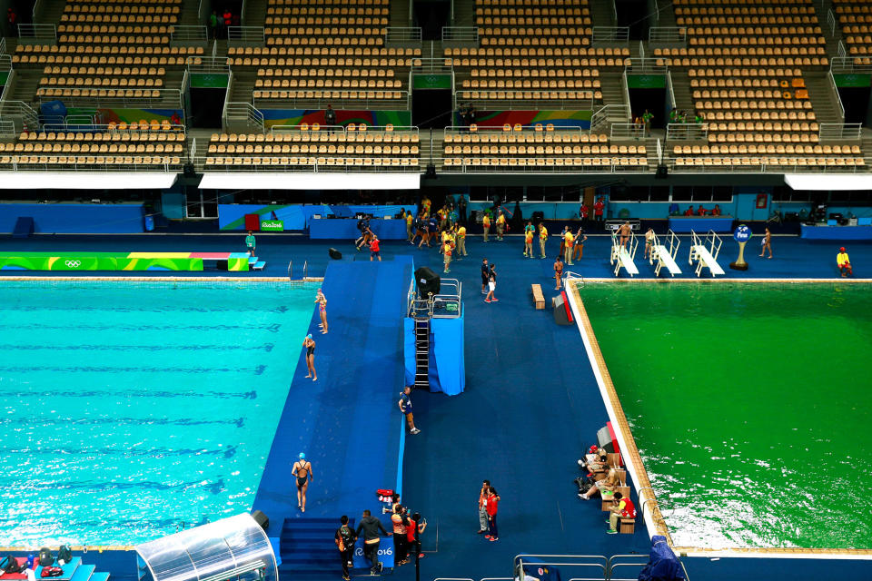 Olympic Algae