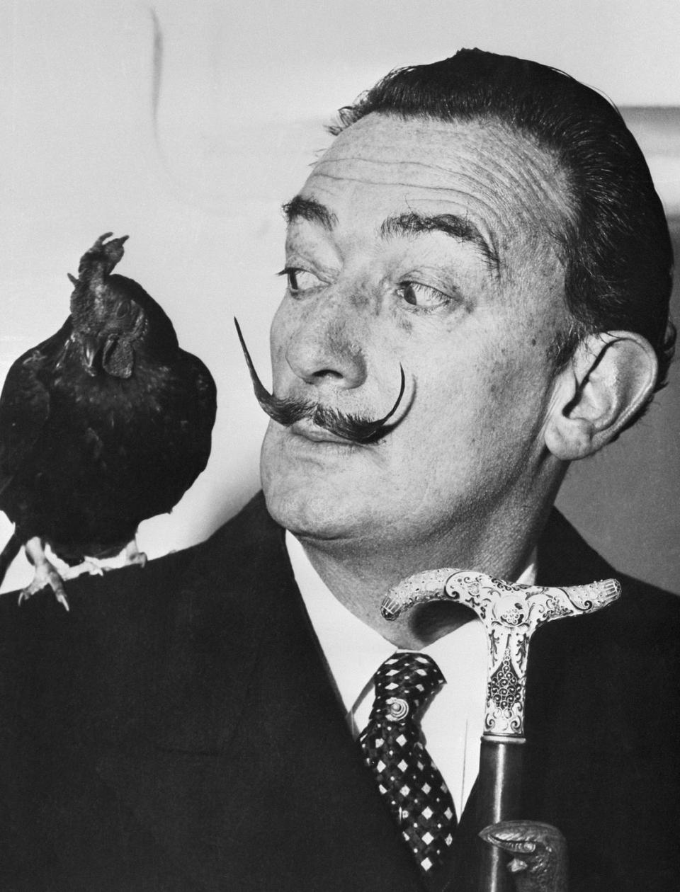 1955: Salvador Dalí and His Rooster