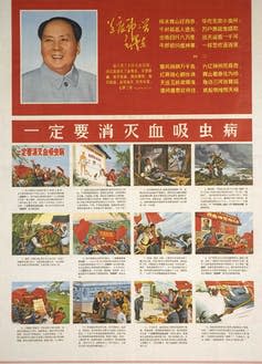 Poster showing Mao and workers trying to eradicate schistosomiasis