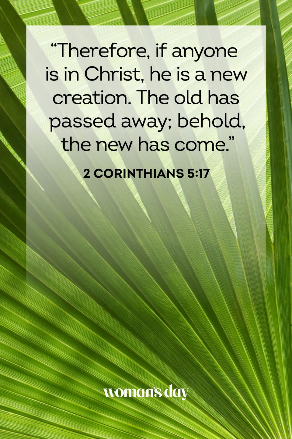 <p>"Therefore, if anyone is in Christ, he is a new creation. The old has passed away; behold, the new has come."</p>