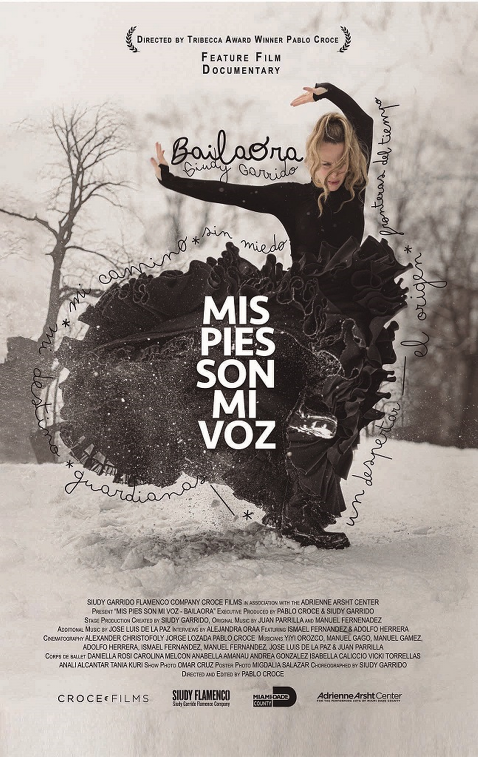 Afiche promocional de la película documental “Bailaora, mis pies son mi voz”.
