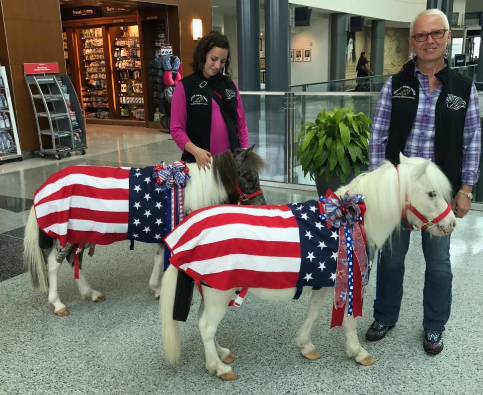 Miniature horses visit Cincinnati/Northern Kentucky International Airport as therapy animals. (Photo: Cincinnati/Northern Kentucky International Airport)