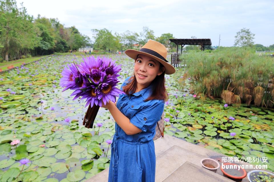 花蓮「蓮城蓮花園」