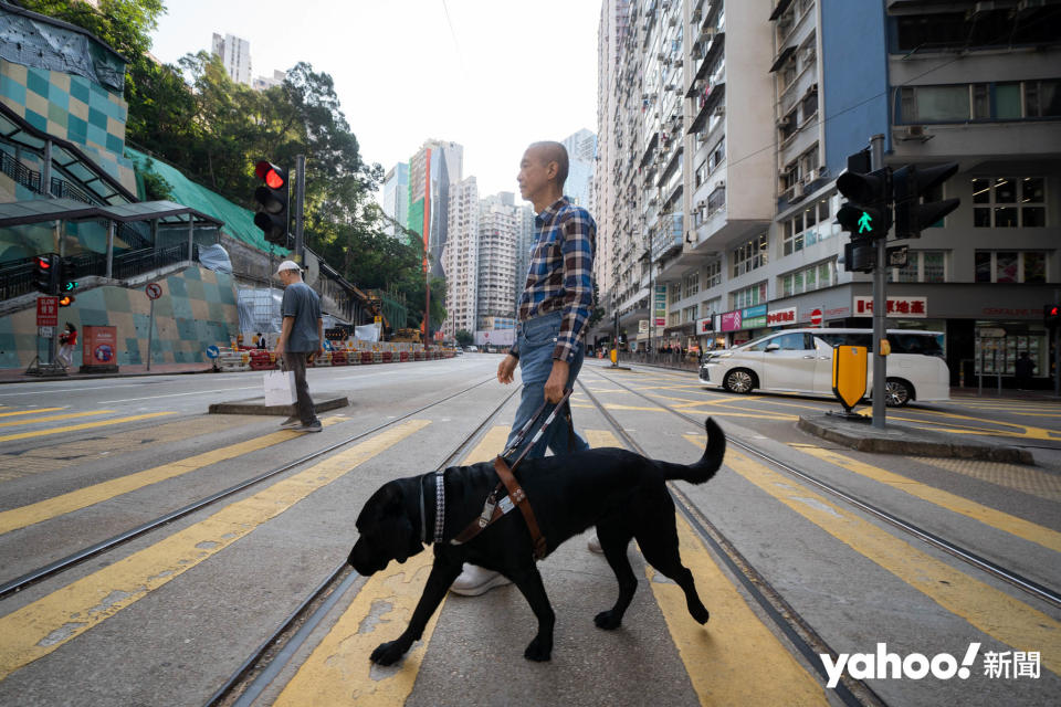 過往大部分視障人士只能使用白手杖輔助出行，後來香港引入導盲犬的本地服務。