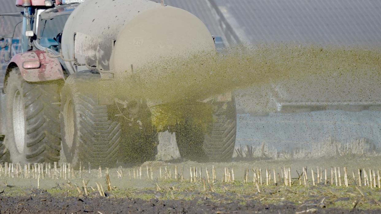 Ein Traktor versprüht Gülle auf einem Feld. Die Deutsche Umwelthilfe bemängelt ein ihrer Ansicht nach mangelndes Engagement der Bundesregierung beim Grundwasserschutz. Foto: Carsten Rehder