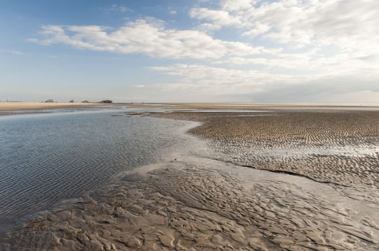 El Mar de Frisia: Países Bajos, Alemania y Dinamarca