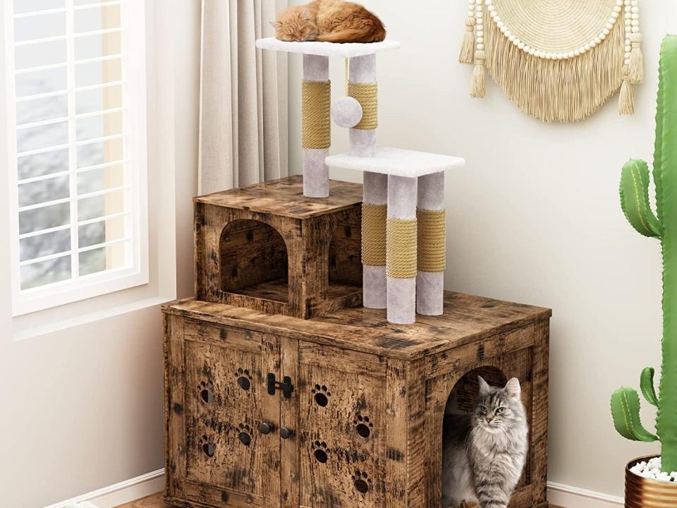 Some cats sitting on the Recaceik Cat Litter Box Enclosure with Cat Tree.