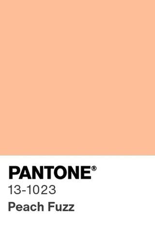 <p>Pantone</p>