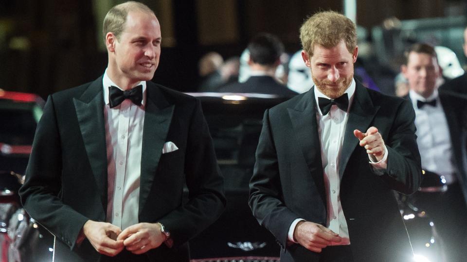 Harry and William opening up about losing Princess Diana