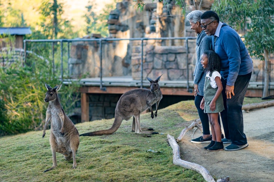 Seniors get free admission to San Diego Zoo Safari Park in February (Photo: San Diego Zoo Wildlife Alliance)