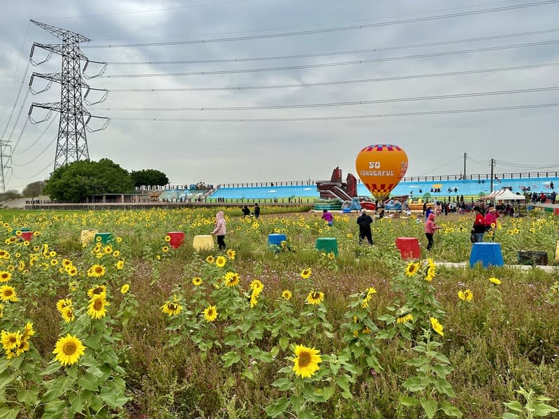 彰化竹塘木棉花季登場  首度引進熱氣球 彰化縣竹塘鄉公所9日舉行「竹塘鄉水神傳說木棉花 季」活動，首度引進熱氣球，一旁還有向日葵花田， 吸引許多民眾前往賞花、拍照。 中央社記者鄭維真彰化攝  113年3月9日 