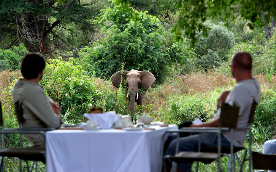 <p>Patrons enjoying lunch, with a surprise guest appearance.</p>