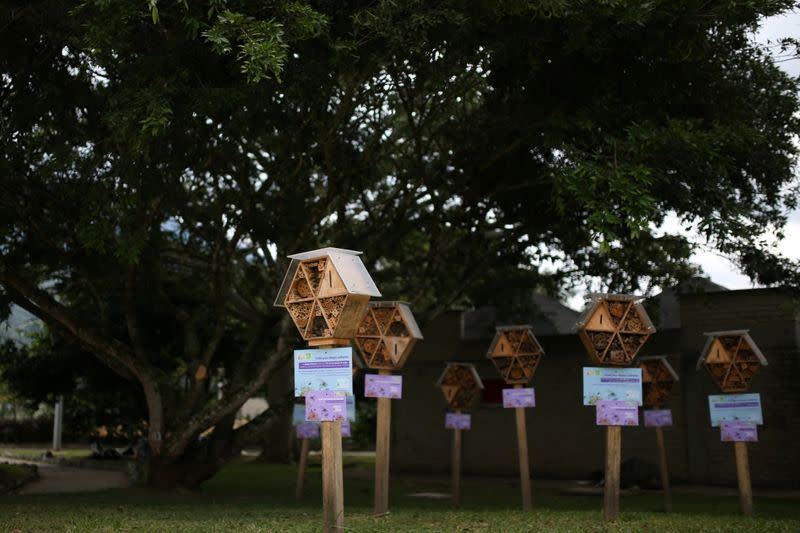 Wooden hotel for solitary bees made by AMVA in Barbosa