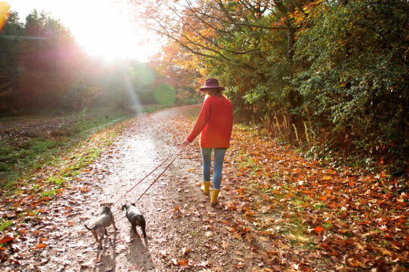 Une nouvelle étude a révélé qu’avoir un chien était bon pour la santé physique et mentale [Photo: Getty]