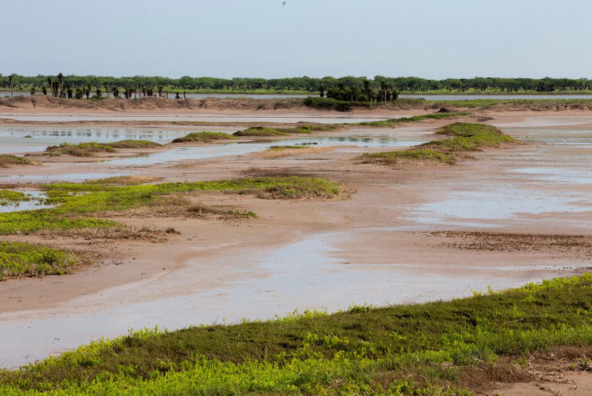 The Boca Chica Wildlife Refuge on the Rio Grande delta, about six miles east of the proposed 750-acre site of the Rio Grande LNG facility.