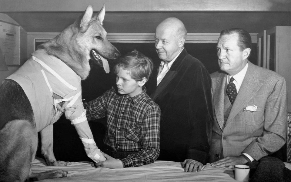 For the Love of Rusty, 1947, l-r, Flame the dog, Ted Donaldson, Aubrey Mather and Tom Powers - Everett/Alamy