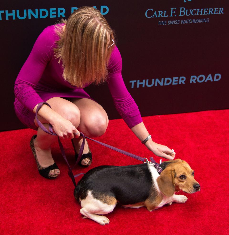 Wick the Beagle at the "John Wick" New York premiere in 2014.