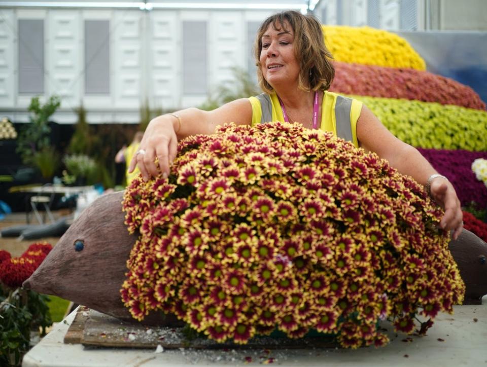 A woman works on a hedgehog floral exhibit on the National Chrysanthemum Society stand (Yui Mok/PA) (PA Wire)