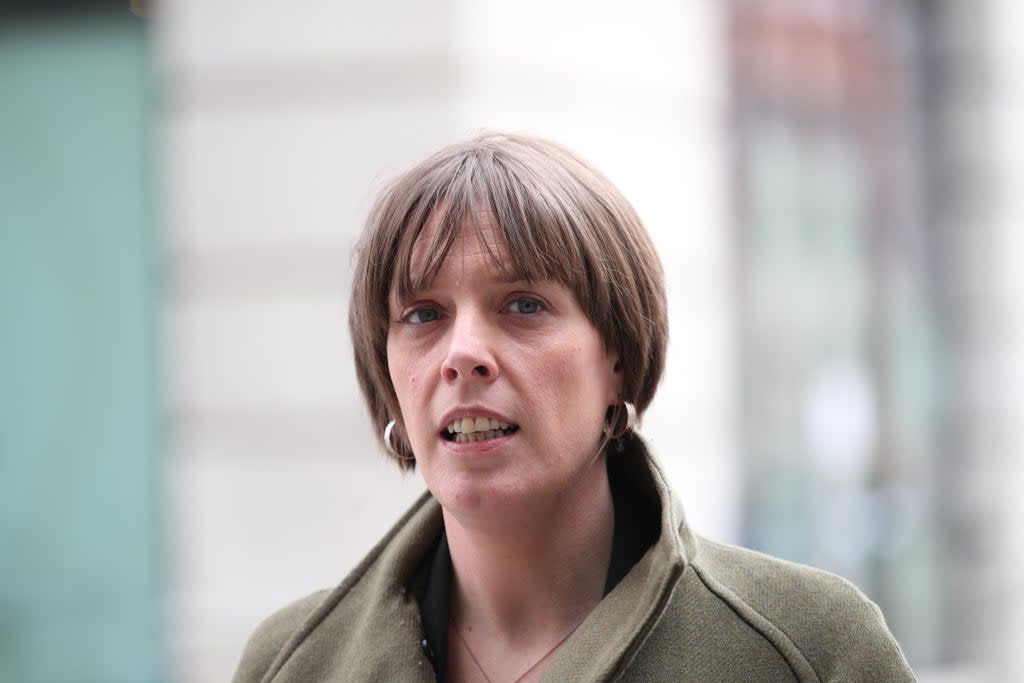 Shadow minister for domestic violence Jess Phillips (PA) (PA Archive)