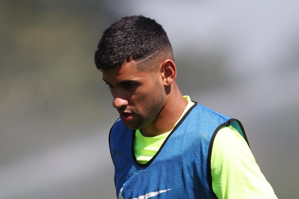 Injured: Cristian Romero  (Tottenham Hotspur FC via Getty Images)