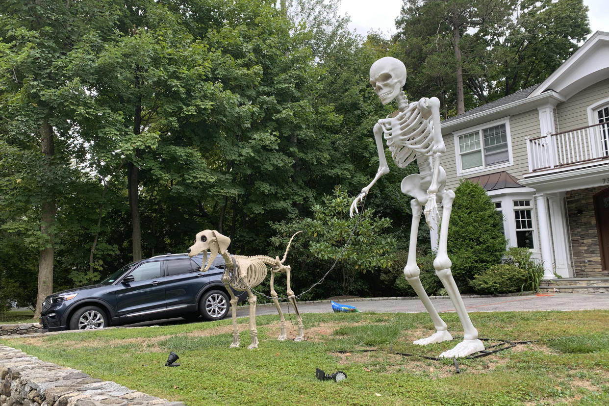 A towering Halloween human skeleton appears with a giant canine skeleton in front of a house in Westchester County, N.Y., on Sept. 23, 2024. The giant skeletons have upped the game on decorations, and Halloween superfans are thrilled. (AP Photo/Julia Rubin)