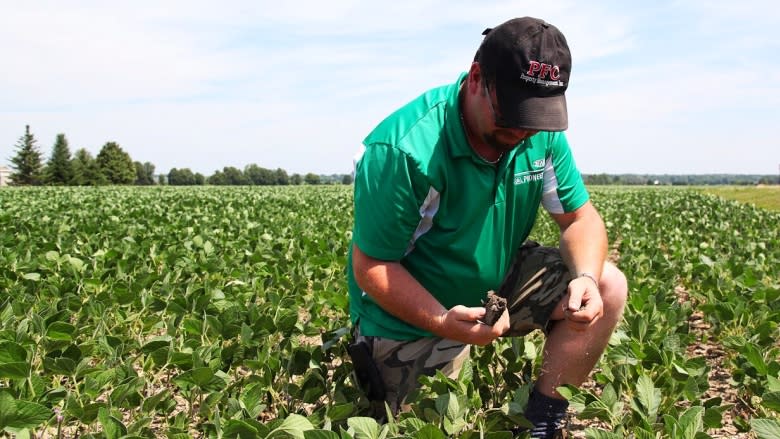 'The damage is done': Farmers worried about this year's crop