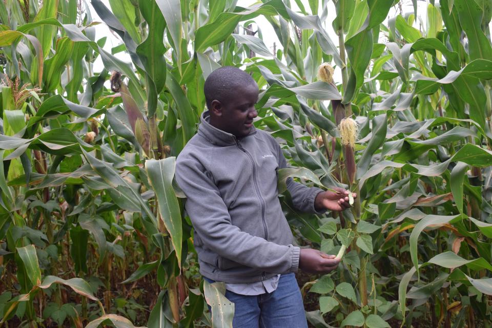Moses Mbogo in front of a field of maize.