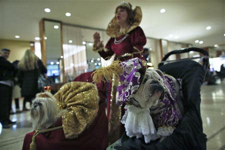 Dogs and handlers arrive at the Hotel Pennsylvania as part of the Westminster Dog Show in New York February 7, 2014. REUTERS/Eduardo Munoz