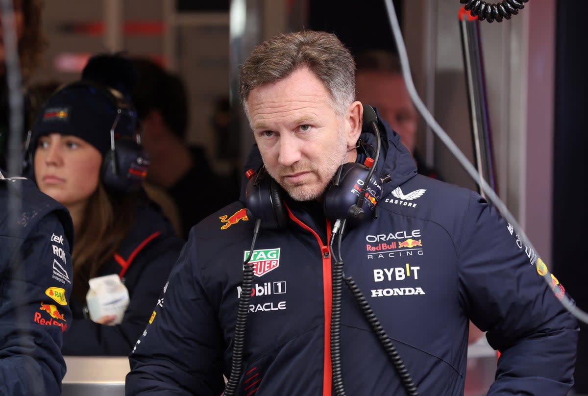 Horner will be at the Bahrain Grand Prix this weekend (REUTERS)