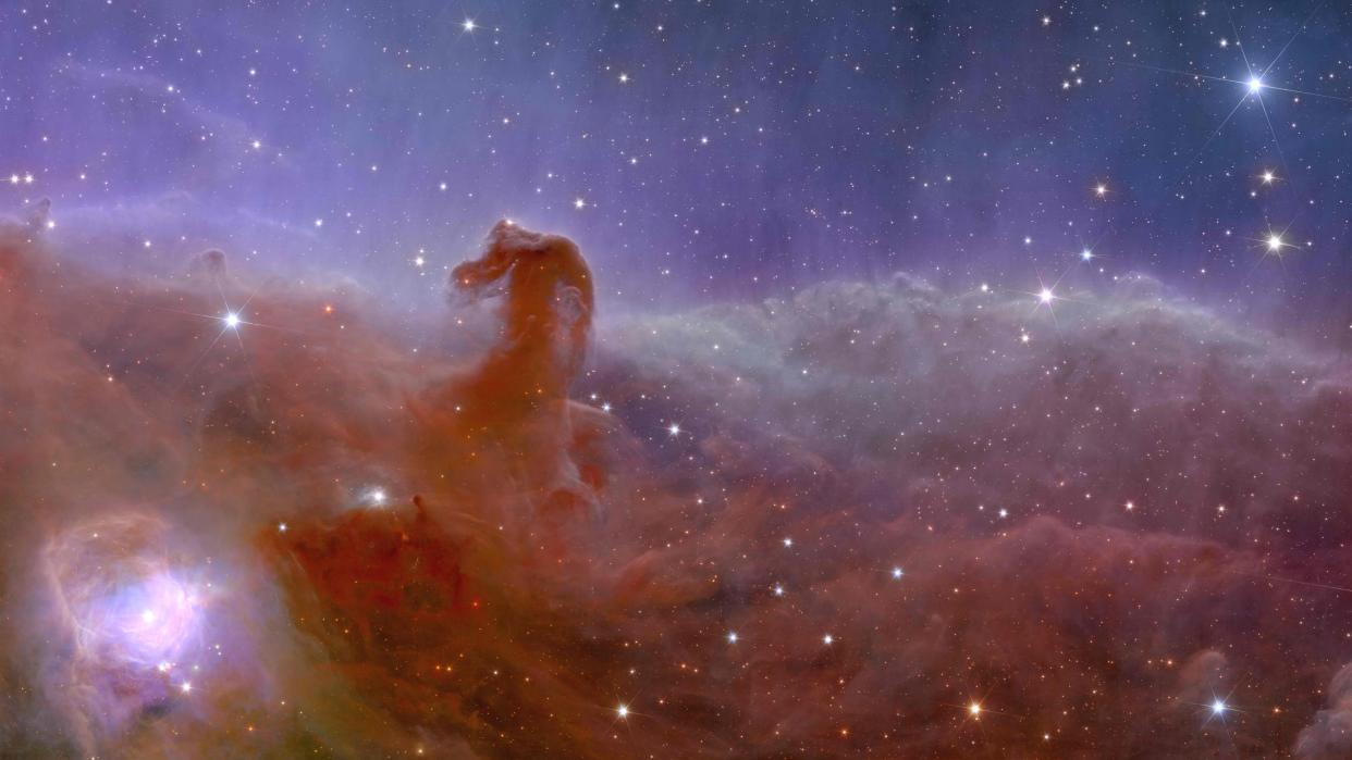  Euclid's view of the horsehead nebula, showing purple swirls of gas on a starry background. 