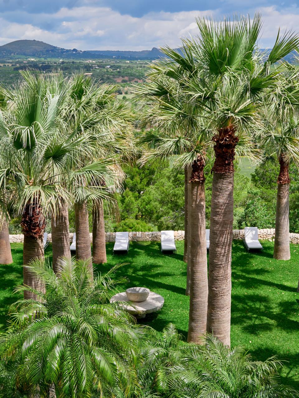 Palms shade a row of chaise longues.