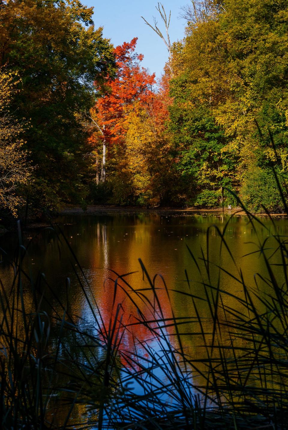 As the climate changes, growing zones across the country are changing, too. This means that Hoosiers will have to look at a different palette of trees to plant in the future so that they can survive for decades to come.