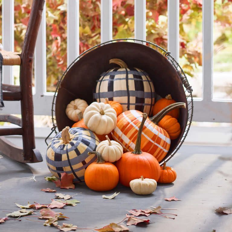 Rad in Plaid Pumpkins