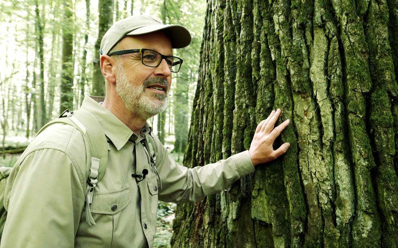 德國權威林務員彼得渥雷本被譽為「能跟樹木交談的男人」，他的暢銷著作《樹的祕密生命》也被改編成電影《自然就樹美》。（海鵬提供）