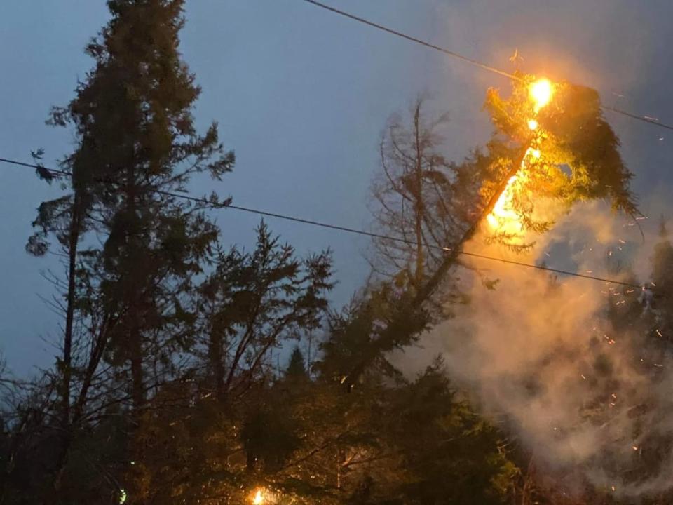 A tree burns on a power line near Mount Stewart, one of three areas of P.E.I. with major power outages Thursday morning. (Daniel Larter - image credit)