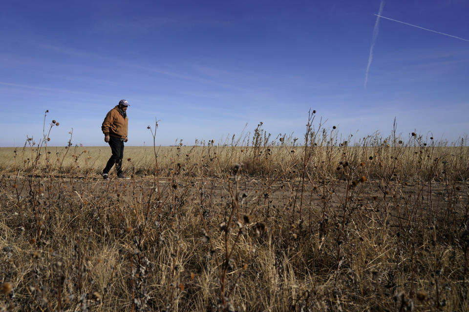 Rod Bradshaw walks through a field on his farm near Jetmore, Kan., Wednesday, Jan. 13, 2021. Bradshaw, who claims to be the last Black farmer in Hodgeman County, is concerned that systemic discrimination by government agencies, farm lenders and the courts have reduced the numbers of Black farmers in the United States from about a million in 1920 to less than 50,000 today. (AP Photo/Charlie Riedel)