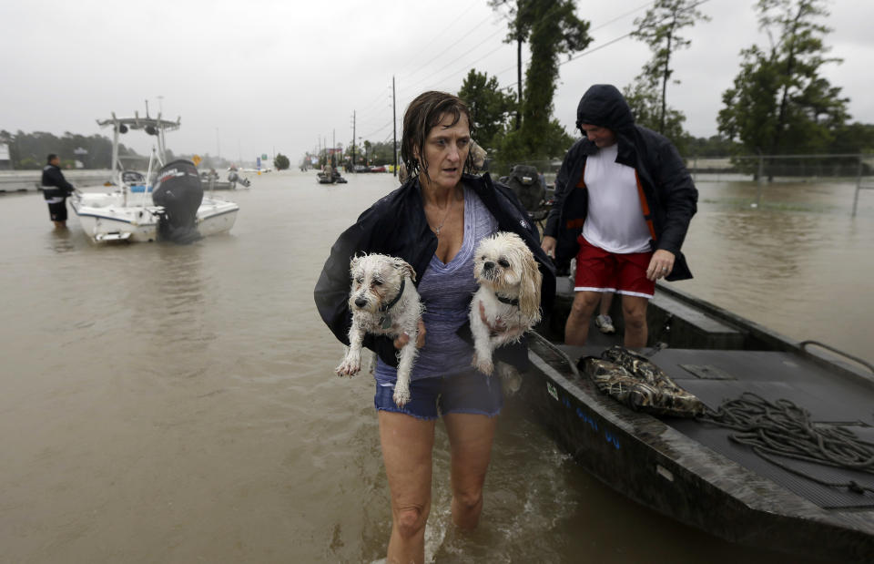 Animals rescued in the aftermath of Harvey