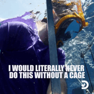 A person in snorkeling gear swims underwater with text overlay: "I WOULD LITERALLY NEVER DO THIS WITHOUT A CAGE" and Discovery Channel logo