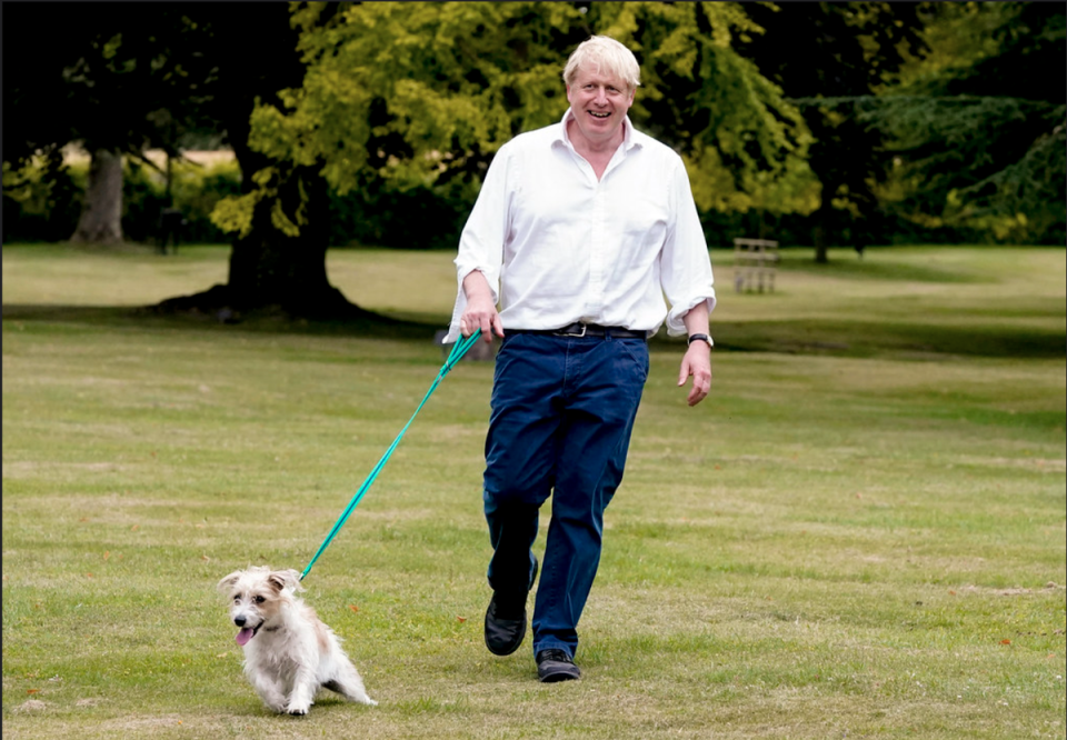 Boris Johnson with his rescue dog Dilyn at Chequers (Andrew Parsons / No 10 Downing Street)