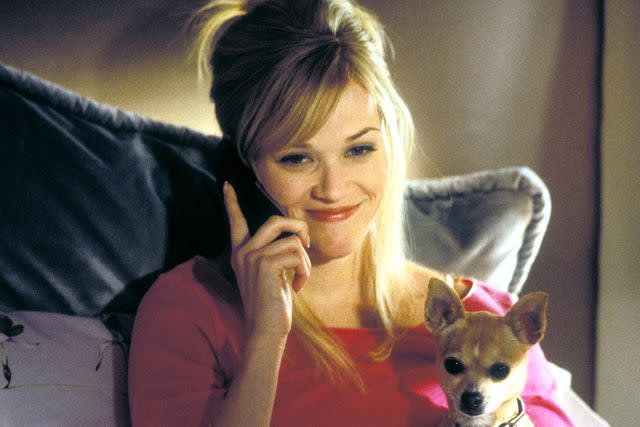 <p>MGM/courtesy Everett</p> Reese Witherspoon in 'Legally Blonde 2'