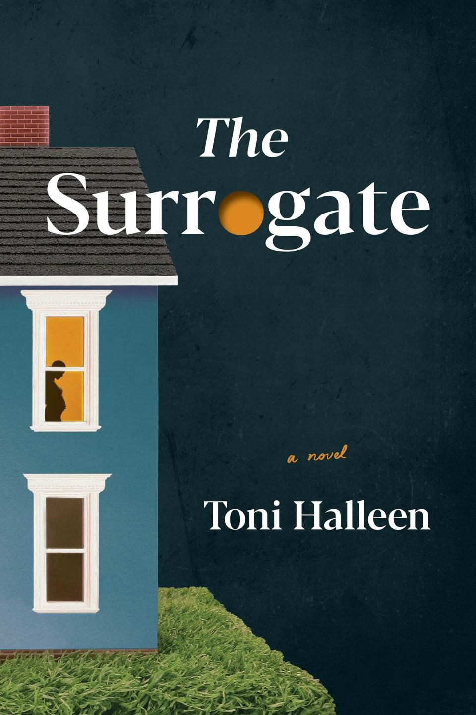 What it's about: Thrillers tend to take your biggest fears and amplify them, and in this novel Halleen taps into new parents' biggest fear. What happens if your surrogate runs away with your meant-to-be child? The alternating point-of-views among the characters keep the story at a fast pace that heightens the intensity until the very last page. Get it from Bookshop or at a local bookstore through Indiebound here.