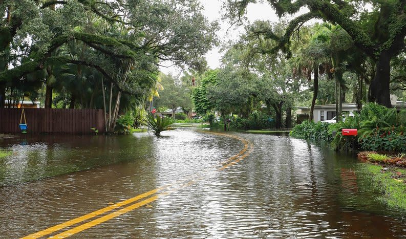 A residential street lined with trees flooded due to rain.