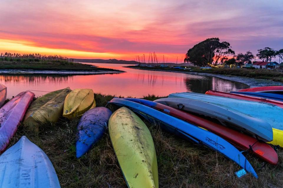 Boats stored at the Cuesta Inlet property in Los Osos.