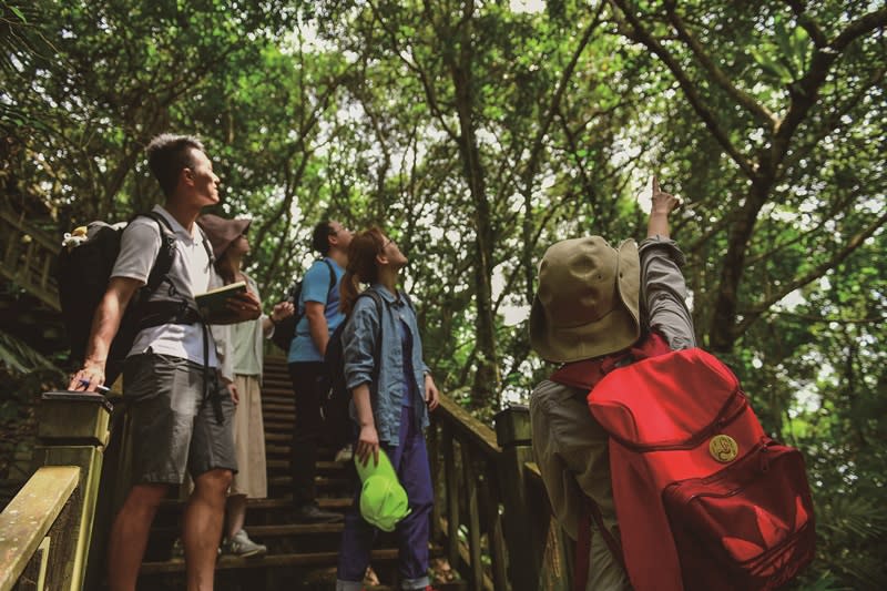 國家森林志工向遊客仔細介紹鯉魚山步道區珍奇的動植物。攝影/周兆志
