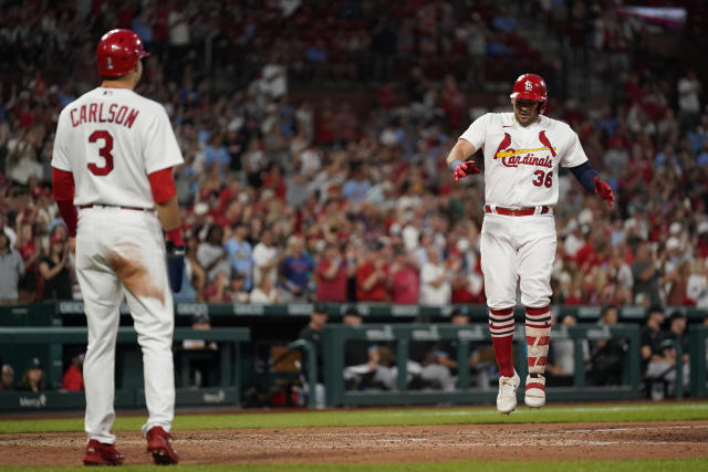 Cardinals Quick Hits: Wainwright stifles Marlins while Yepez and  Goldschmidt punish them