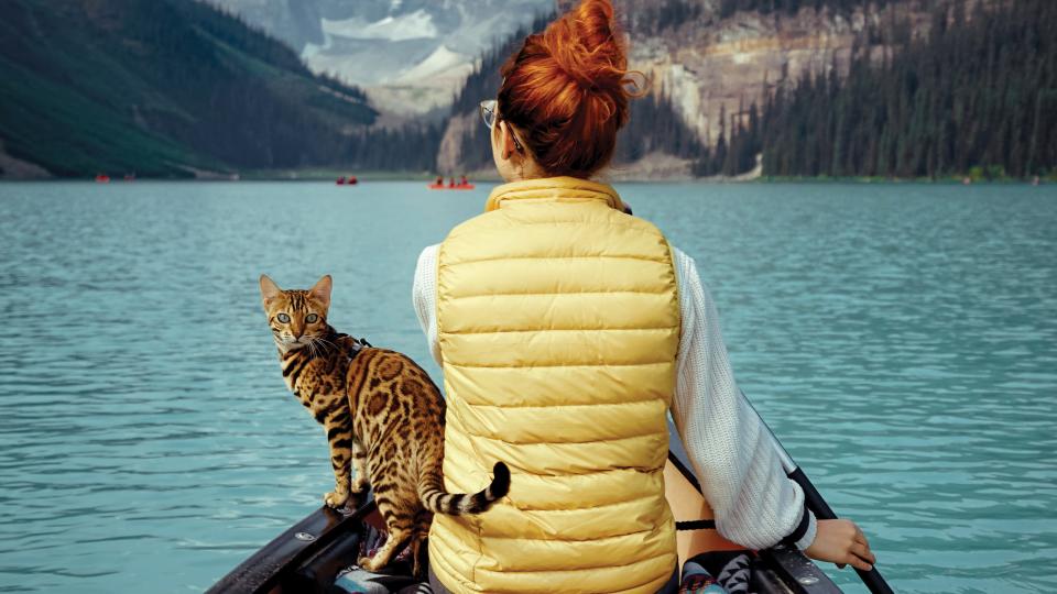 Suki, a 3-year-old Bengal cat, rides shotgun alongside owner Martina Gutfreund during a canoe trip around Canada's Lake Louise.