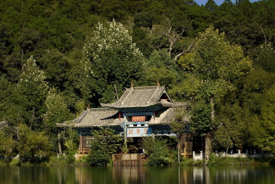 Banyan Tree Black Dragon Pool, Work from Paradise